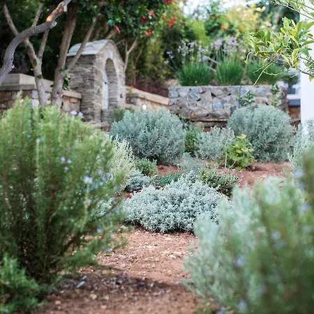 Oleander Villa Kounoupidhianá